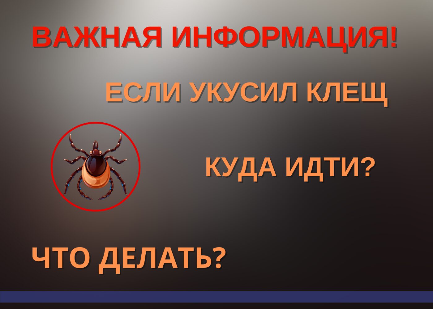 Укус клеща: первая помощь и меры предосторожности – «АллергоStop»